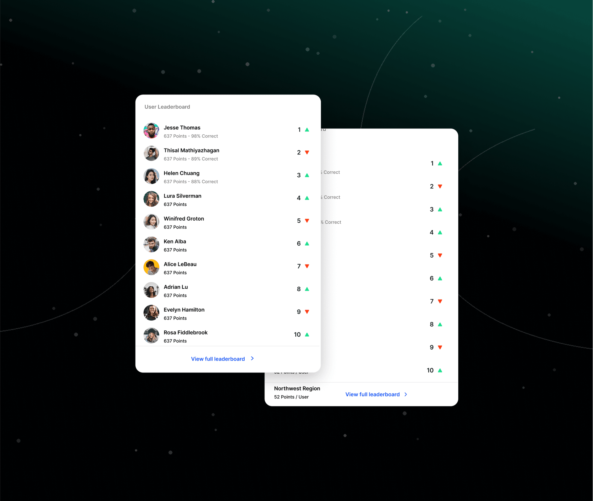 Custom SaaS & Support showcase 2
